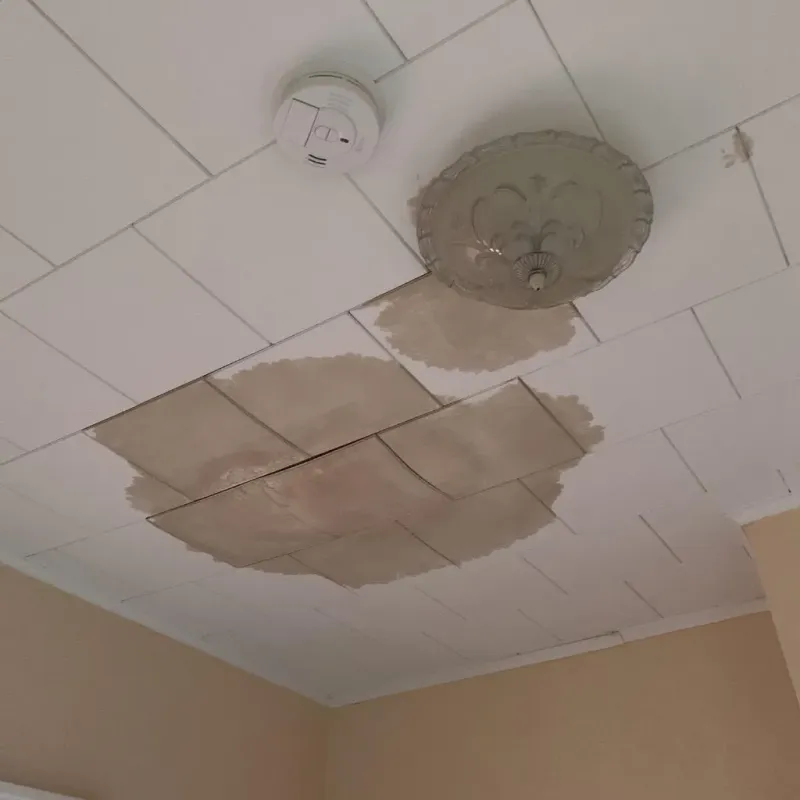 Ceiling Water Damage Repair in Rensselaer, IN