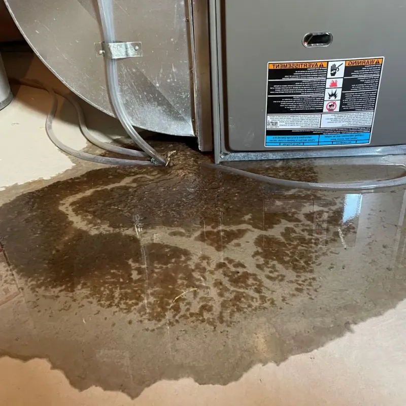 Pipe Burst and Leak Restoration in Rensselaer, IN